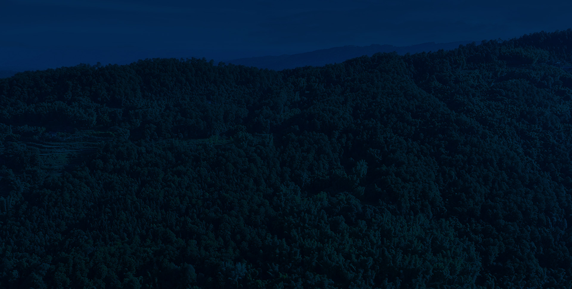 森林巡檢方案架構(gòu)