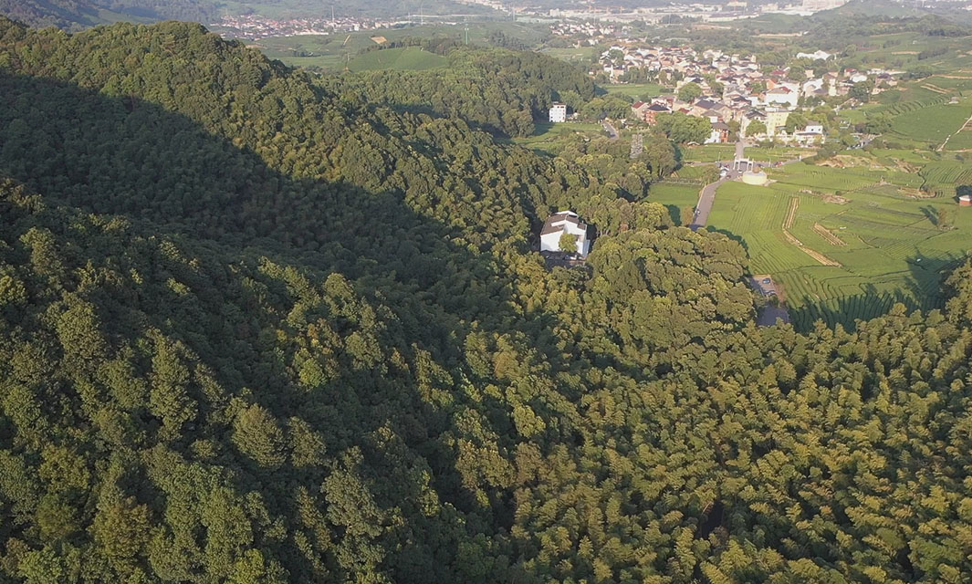 消防無人機巡邏、自動識別預警……浙江這兩臺無人機機巢派大用場